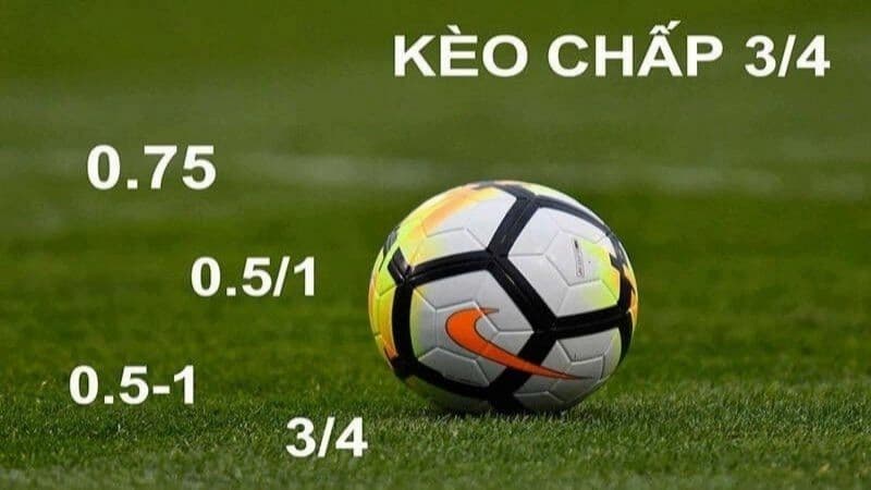 Cách đọc tỷ lệ kèo nhà cái chuẩn xác