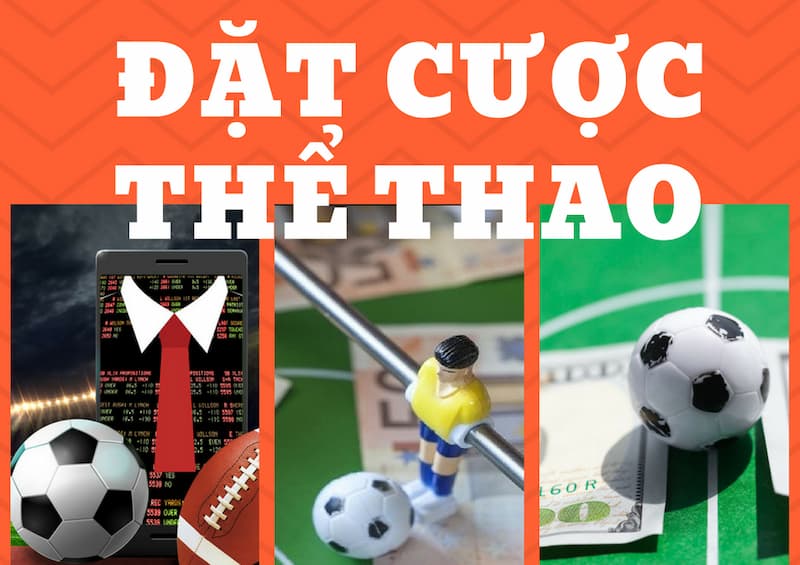 Cách lựa chọn nhà cái phù hợp để cá cược thể thao