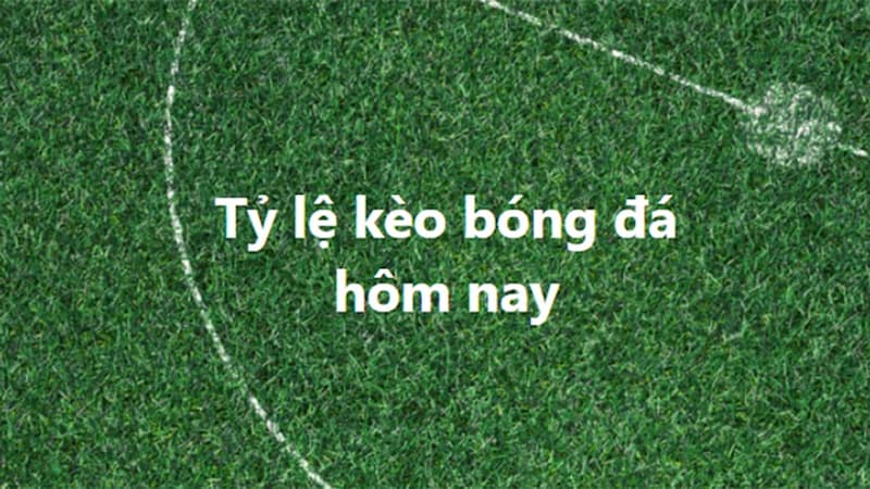 Tỷ lệ kèo nhà cái là gì?